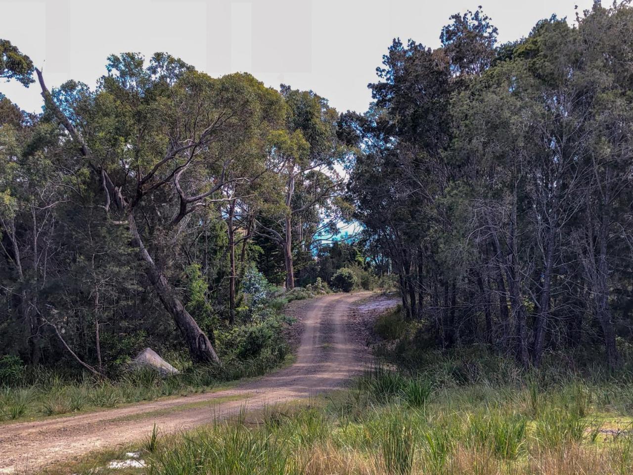 Bay Of Fires Eco Hut Off Grid Experience At Binalong Bay Exterior foto